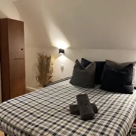 Cosy Rent Piscine Proche Strasbourg *