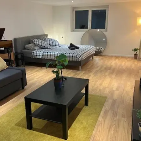 Cosy Rent Piscine Proche Strasbourg Holiday home Lampertheim