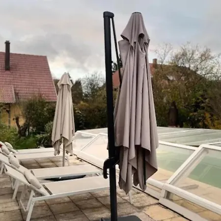 Cosy Rent Piscine Proche Strasbourg *
